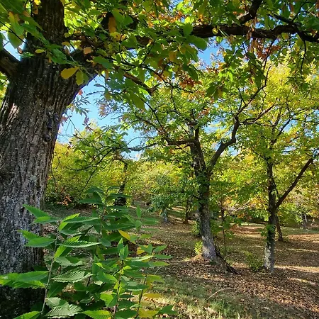 农家乐 La Botalla *